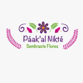 Páak’al Nikté / Sembraste flores