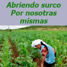 Abriendo surco. Por nosotras mismas